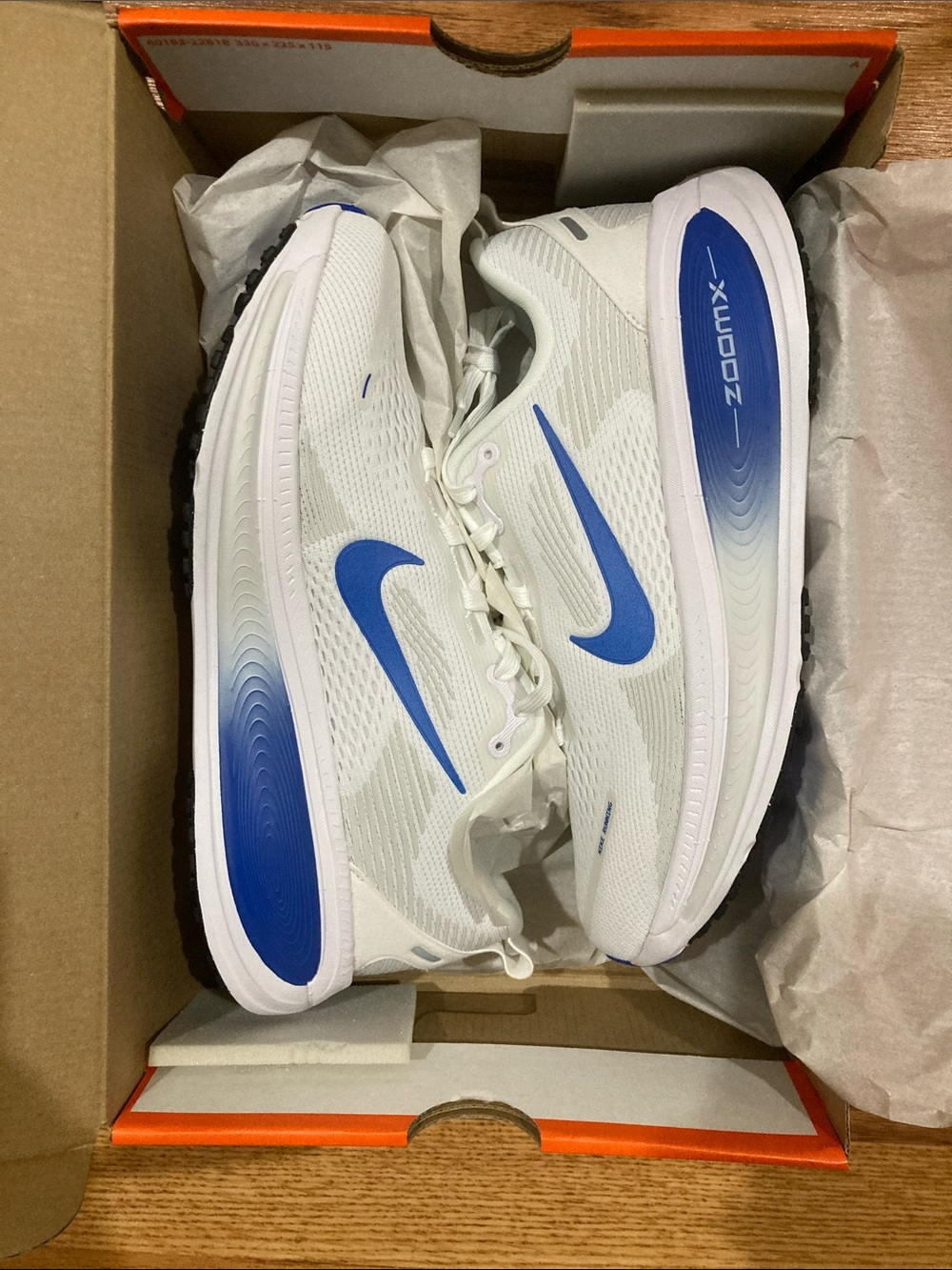 Nike White Running Shoes with Blue Swoosh